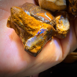 150g - Yowah Opalised Wood/Vegetation Fossil Rough Parcels. BULK LISTING!