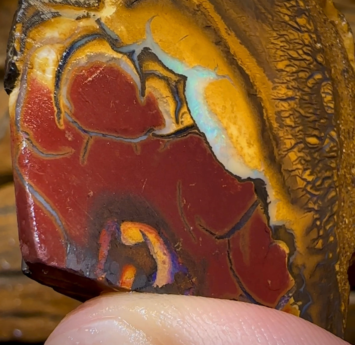 (Template) 296.1cts - Yowah Nut Opal Specimen Rub - Opal Whisperers