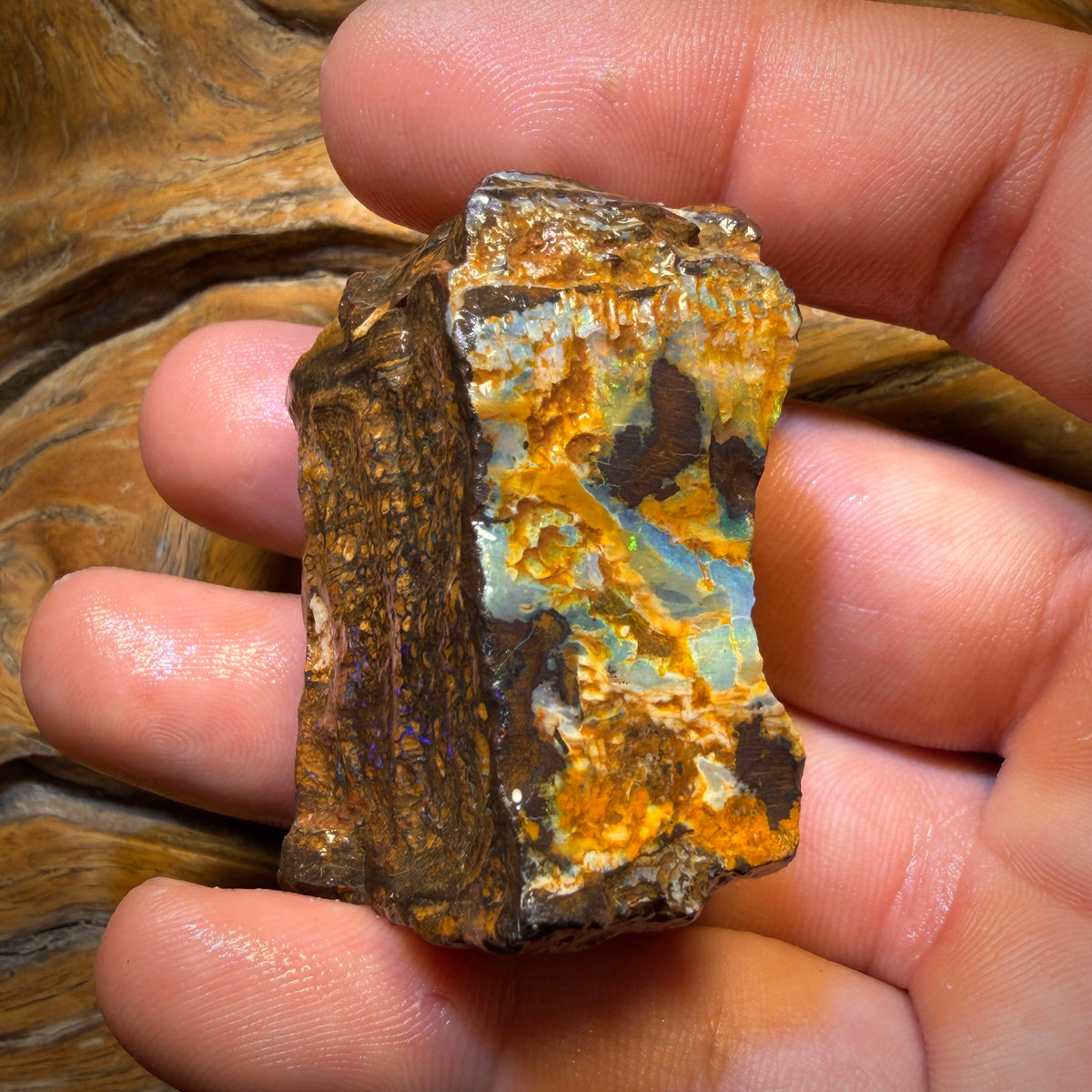 377.3cts - Top Seam + Tribal Queensland Boulder Opal Rough Piece