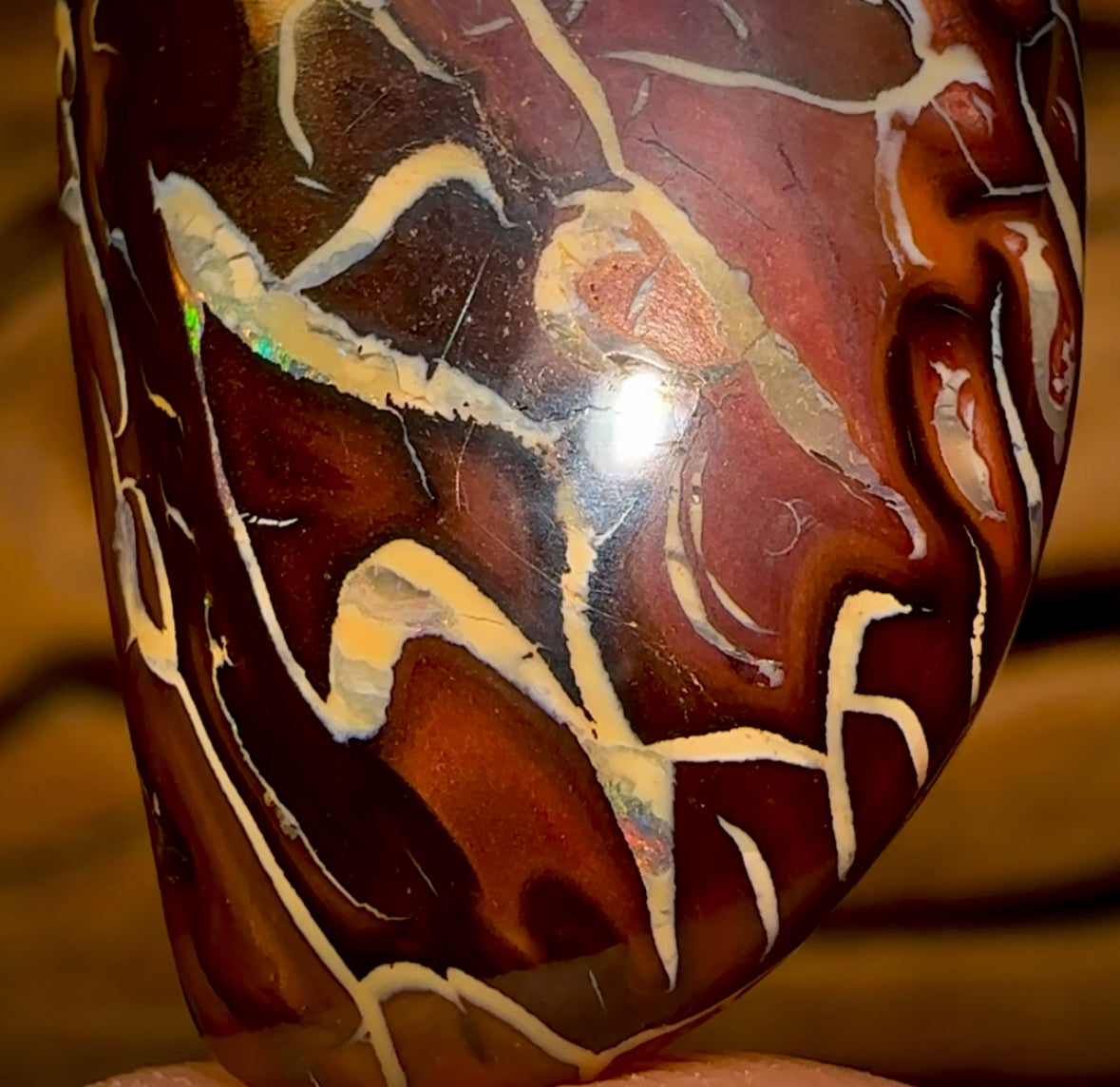 35.5cts - Tribal Queensland Boulder Opal from Koroit