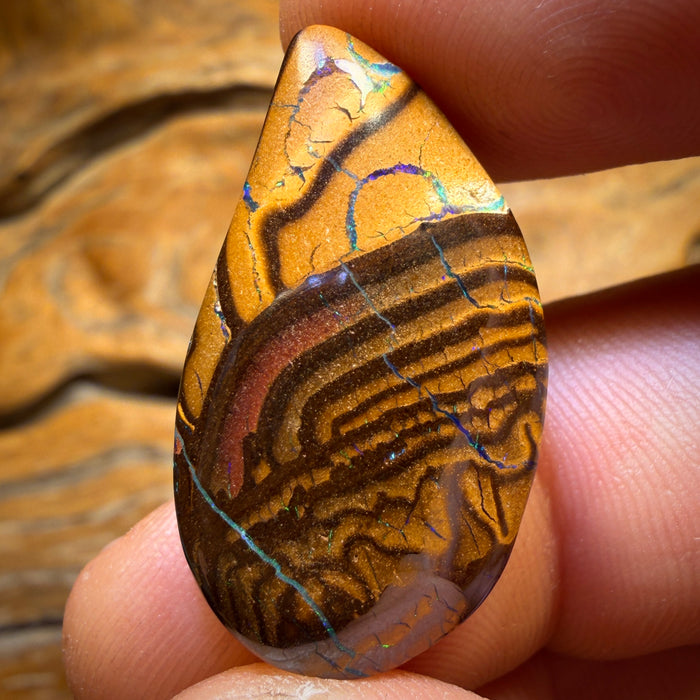 26.5cts - Tribal Queensland Boulder Opal from Yowah