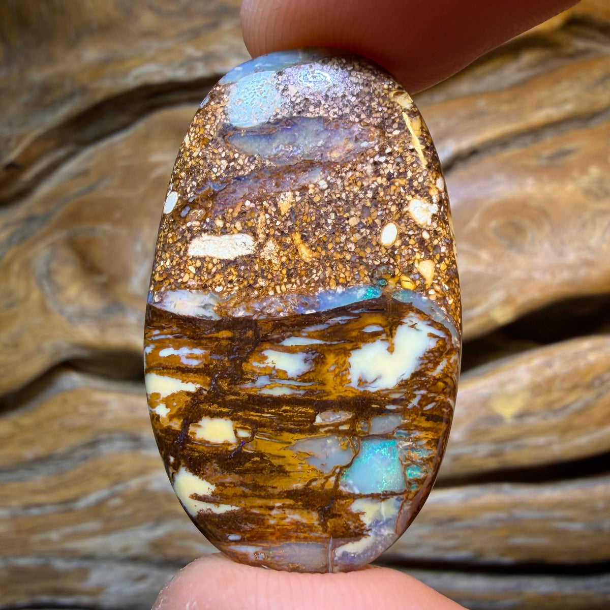 26.9cts - Wood Fossil Replacement Boulder Opal from Yowah
