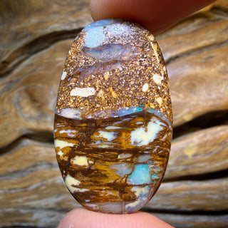 TGIF 26.9cts - “Cathedral Landscspe” Wood Fossil Replacement Boulder Opal from Yowah