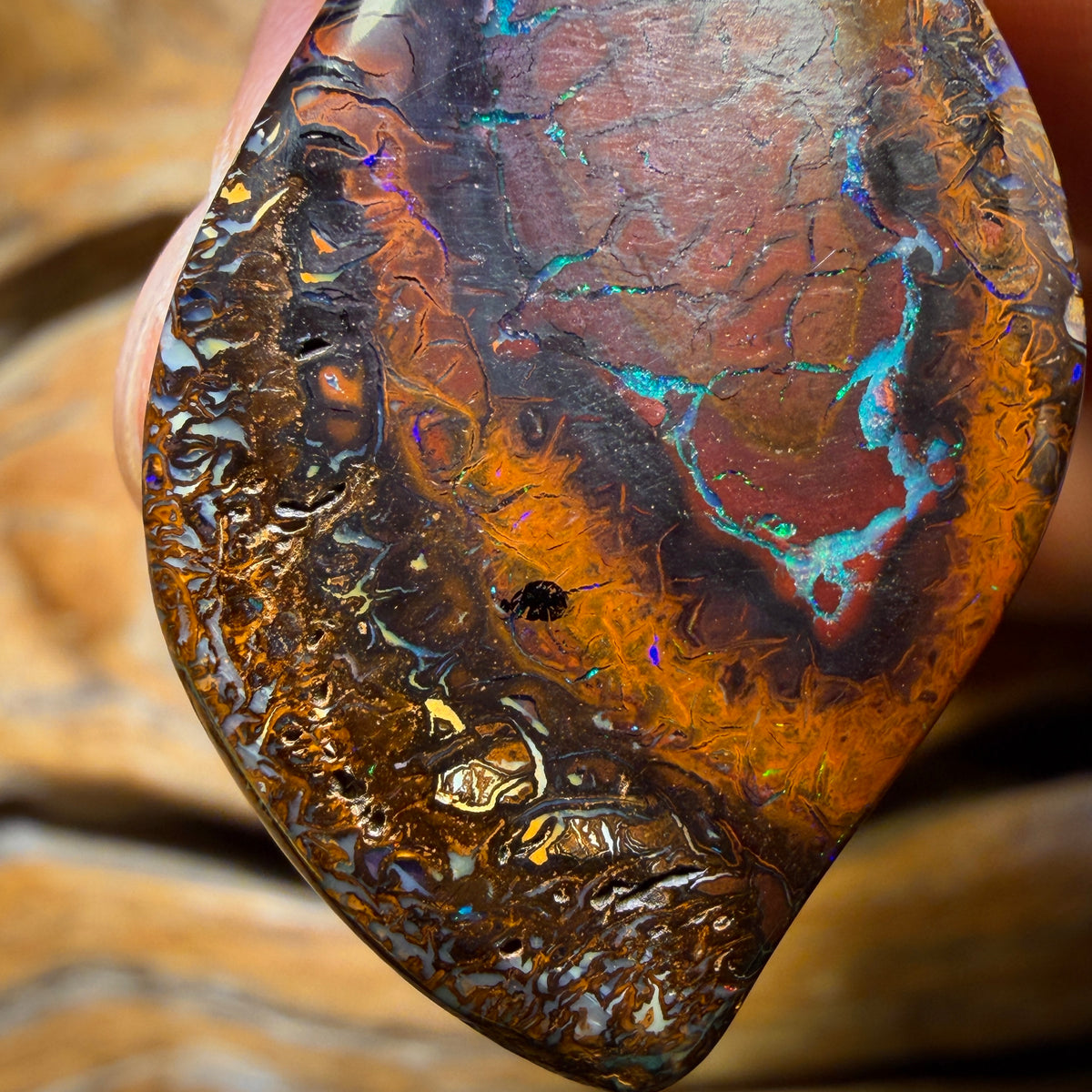 36 x 23mm - Drilled Tribal Queensland Boulder Opal Necklace