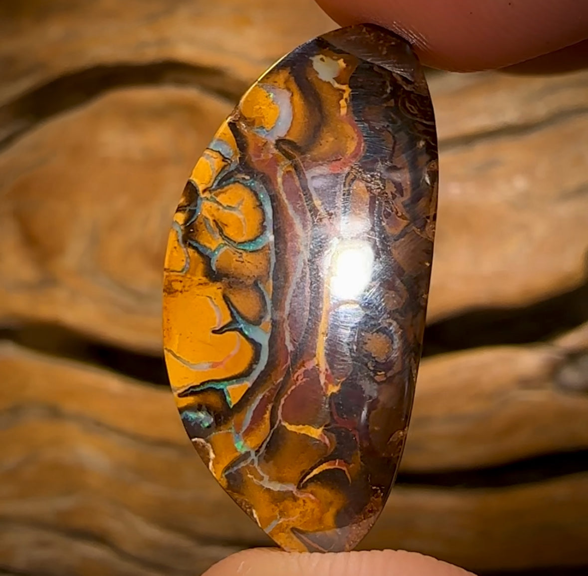 16.1cts - Top Tan Tribal Queensland Boulder Opal Art of Opal Worthy…I Love It