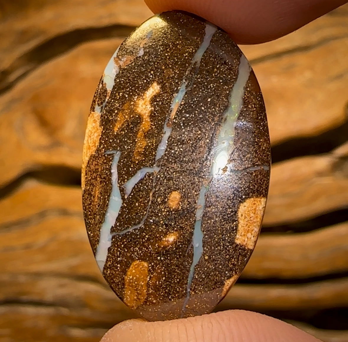 🔨 AUCTION 🔨 No Reserve 22.5cts - Queensland Boulder Seam Opal