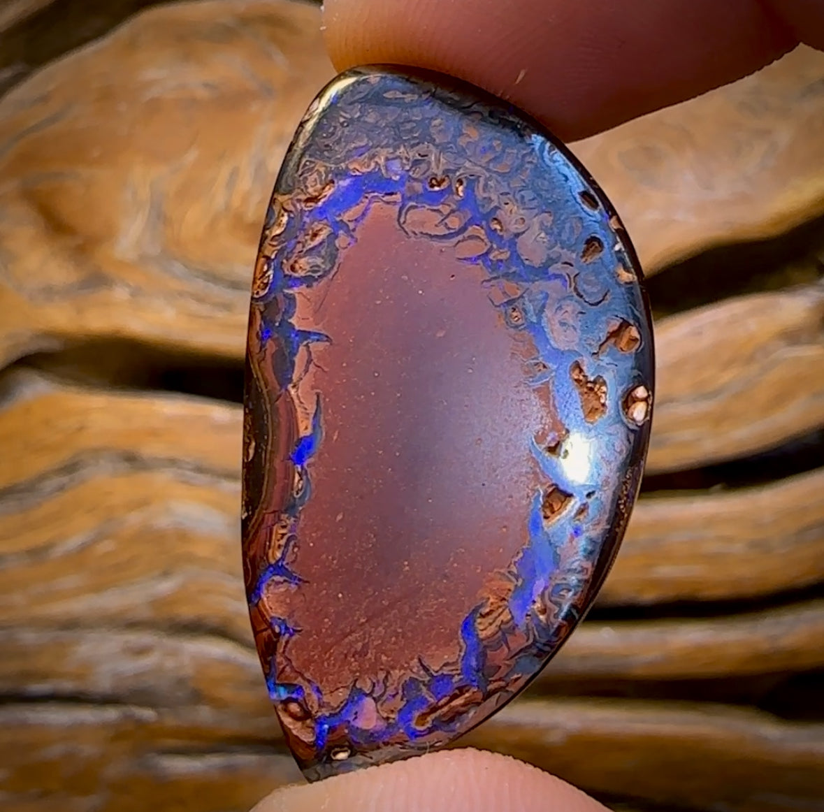 49.9cts - Tribal Yowah Nut Opal. Australian Opal
