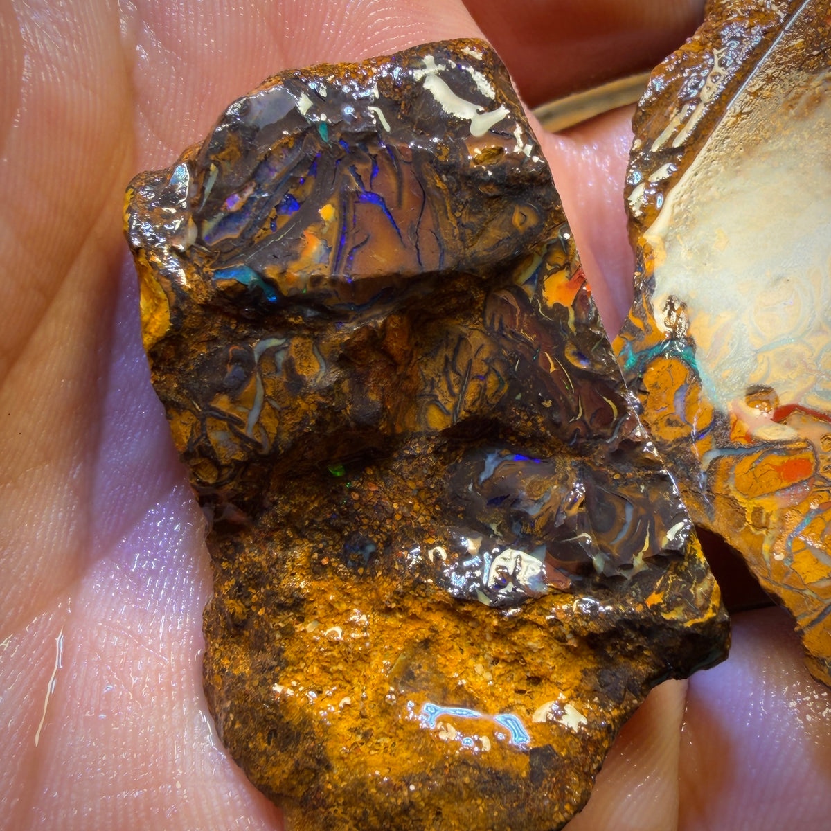 364.7cts - 3x Yowah Nuss Tribal Opal Rohparcel. Australischer Boulder Opal