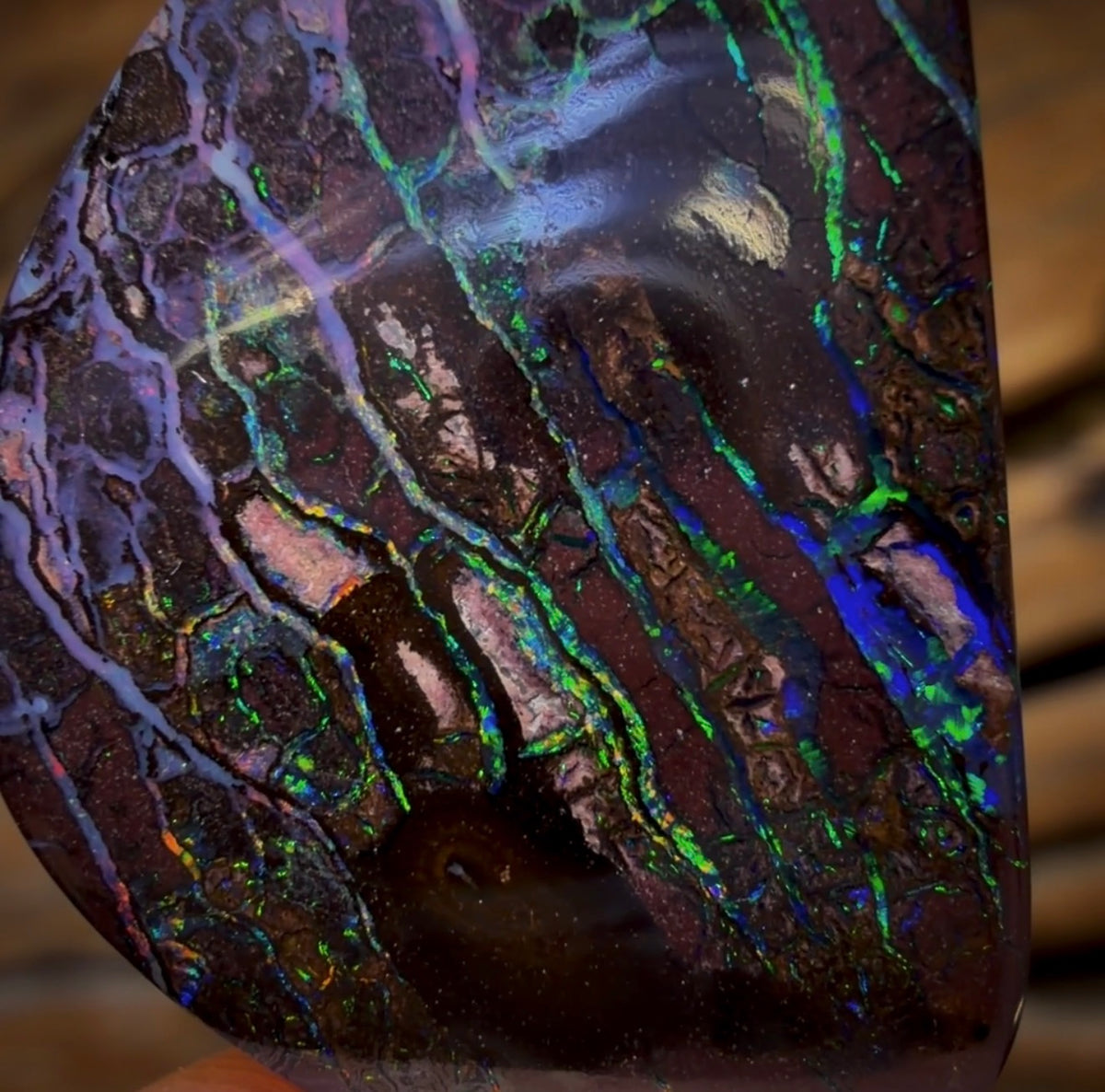 48.5cts - Tribal Australian Boulder Opal from Koroit