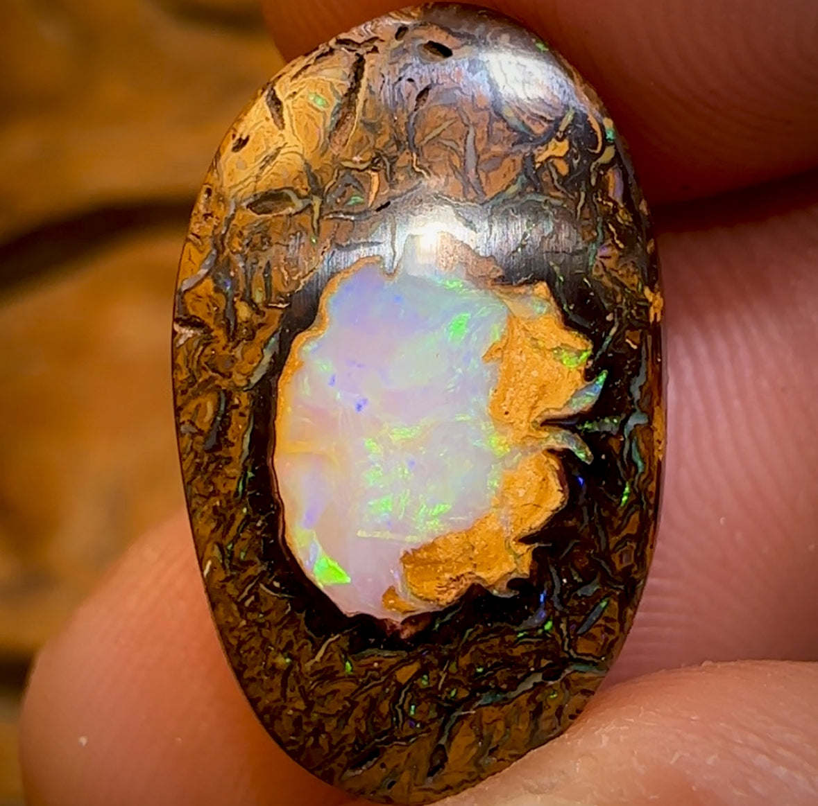 13.6cts - RARE Yowah Nut Crystal Centre Opal Rub Featured on “Outback Opal Hunters”!