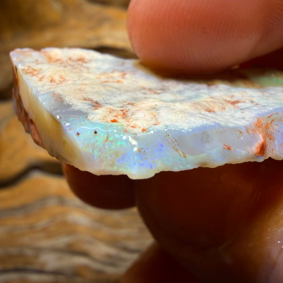 Bargain Card! 57.7cts - Lightning Ridge Dark Opal Rough Piece