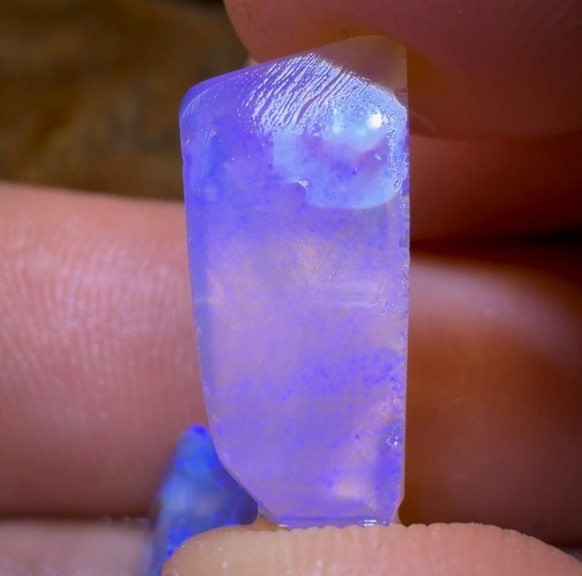 Auction Fall-Through = Your Gain! 🔥 Now More Than 50% Off RRP 🚨 9.5cts - 2x Lightning Ridge Crystal Opal Rubs