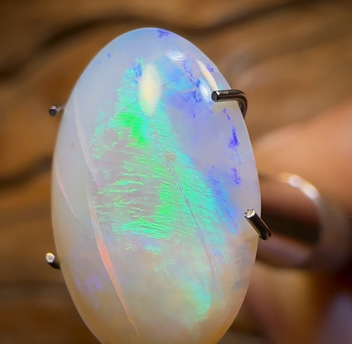 3.1cts - Lightning Ridge Crystal Opal