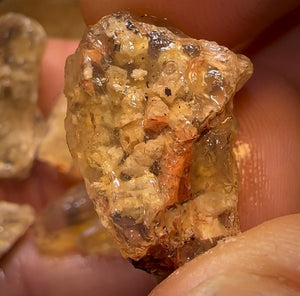 59.8cts - 5x Opalised Fossil Geological Specimens from Lightning Ridge