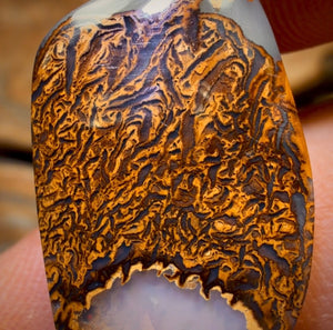 19.3cts - Queensland Boulder Opal from Yowah