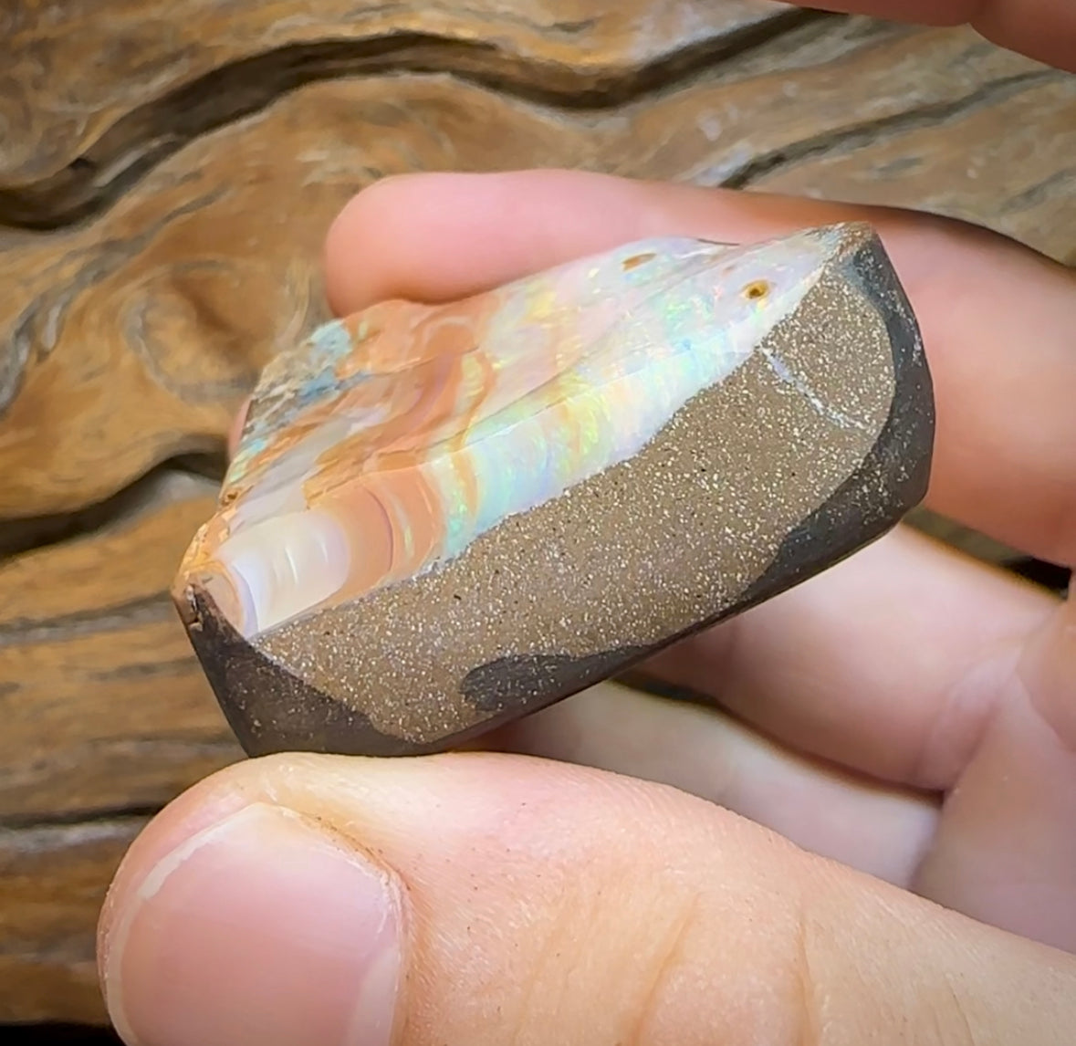 399.2cts - Polished Queensland Boulder Opal “Landscape” Specimen - Opal Whisperers