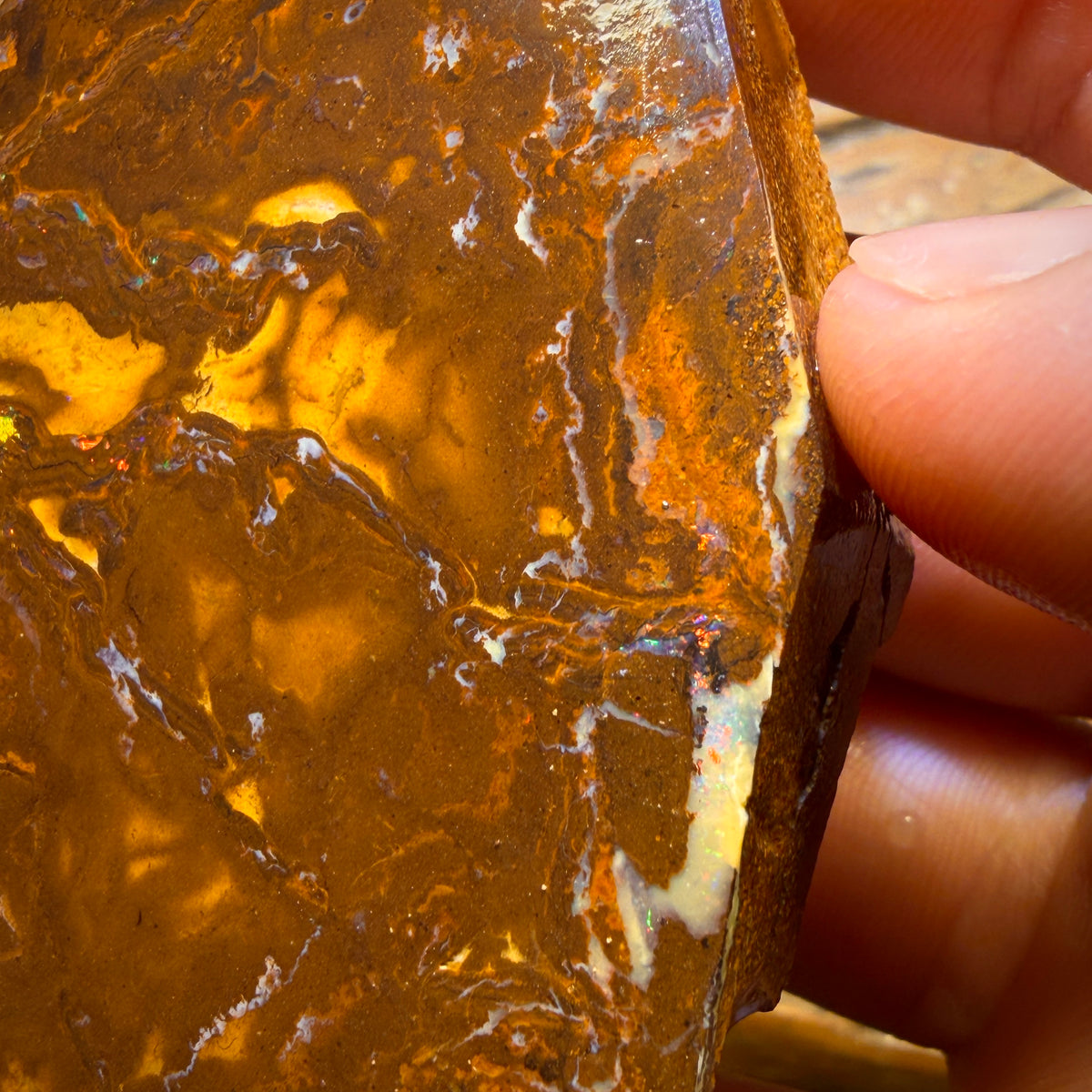 331.3cts - Queensland Boulder Opal Rough Rub from Yowah