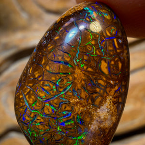 36.6cts - Tribal Yowah Nut Opal. Electric Green!