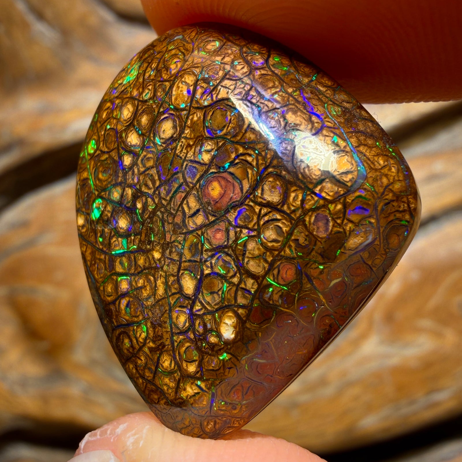 27.3cts - Tan Tribal Queensland Boulder Opal from Yowah. Electric Green