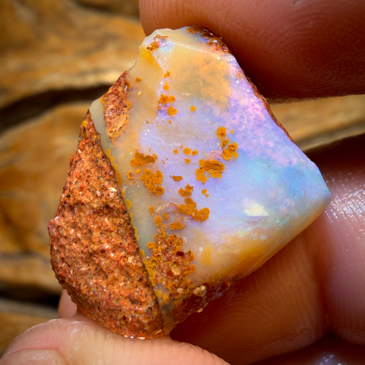 27.7cts - Boulder Pipe Opal Rough Piece. Australian Opal