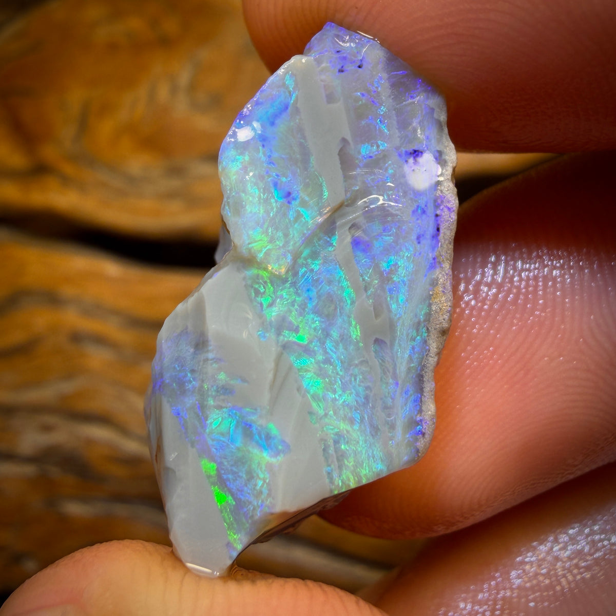 27.7cts - Lightning Ridge Opal Rough Piece