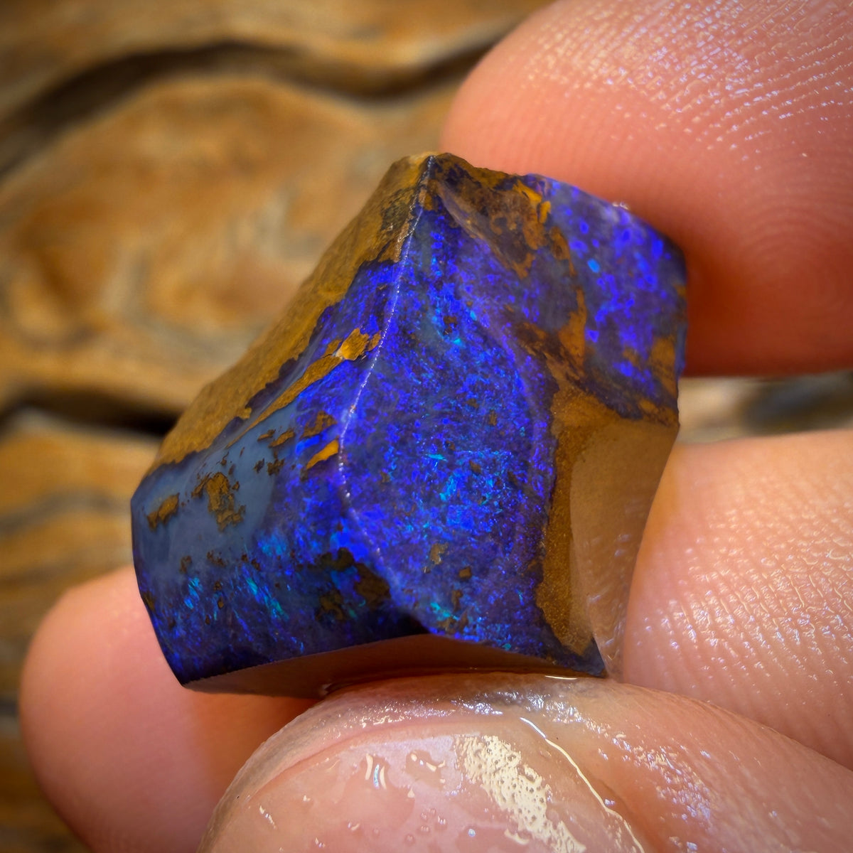 27.7cts - Queensland Boulder Seam Opal Rub