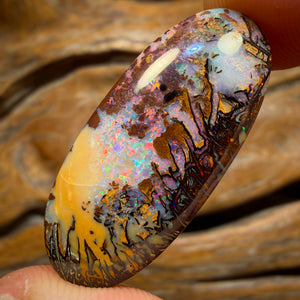 27.8cts - Tribal Queensland Boulder Opal. Red Multicolour