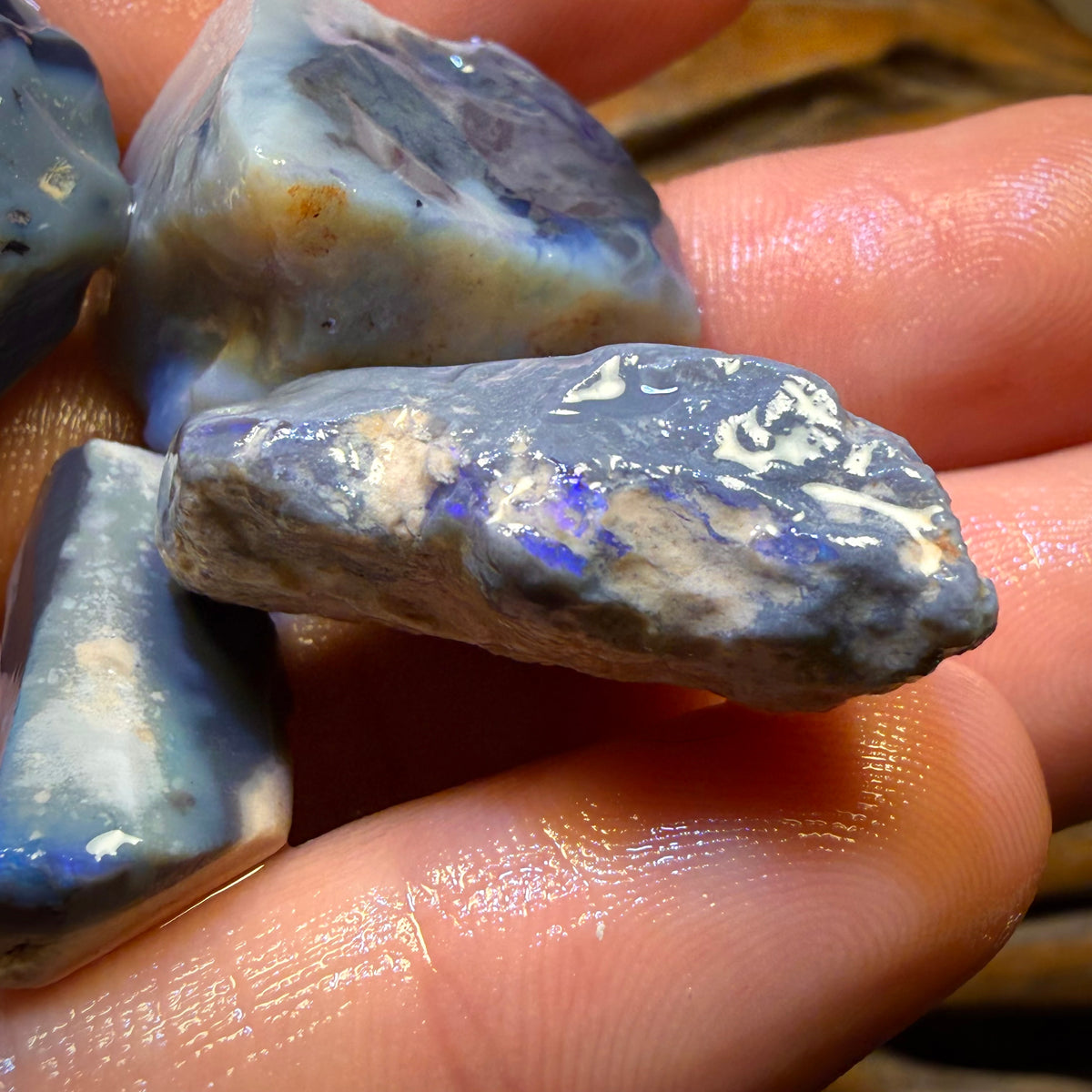 157.8cts - 5x Lightning Ridge Opal Rough Parcel