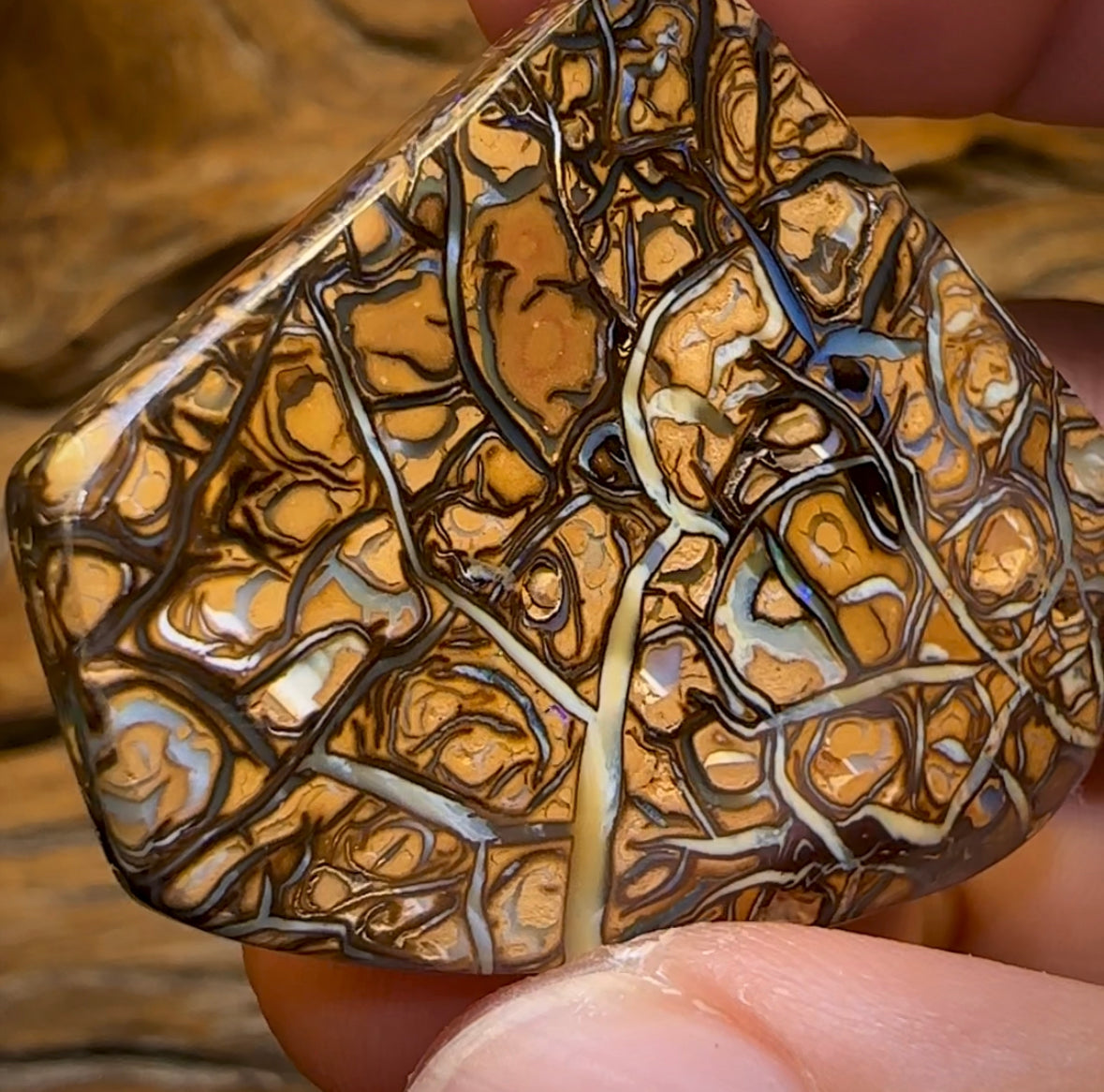 113.1cts - Top Tribal Magic Koroit Nut Australian Opal. - Opal Whisperers