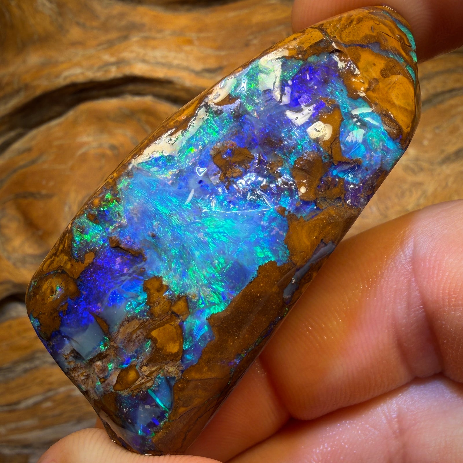 272.5cts - TOP Yowah Nut Opal Specimen Rub. Featured on ‘OUTBACK OPAL HUNTERS’!!