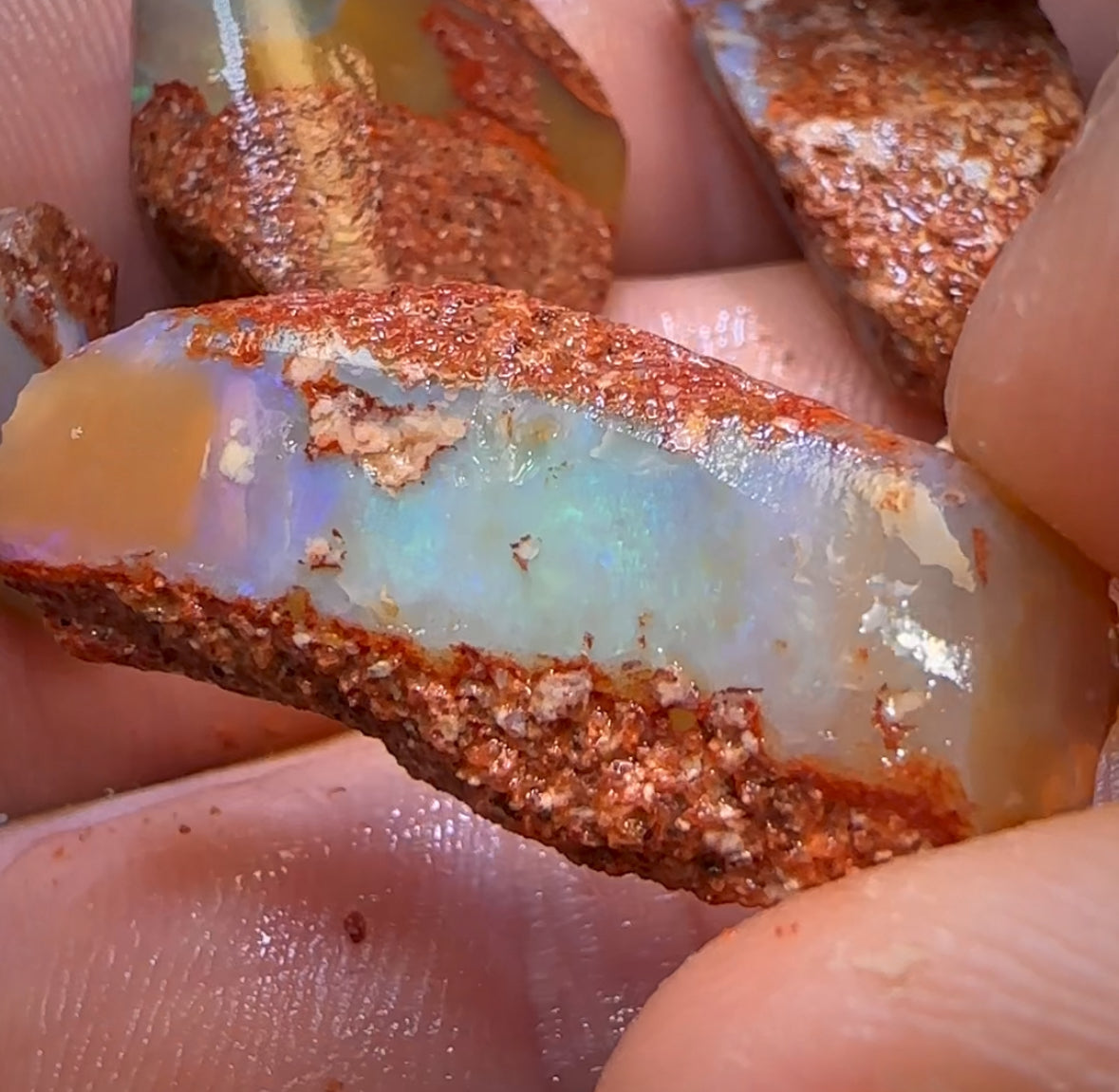 68.2cts - 5x Queensland Boulder Pipe Opal Rough Parcel