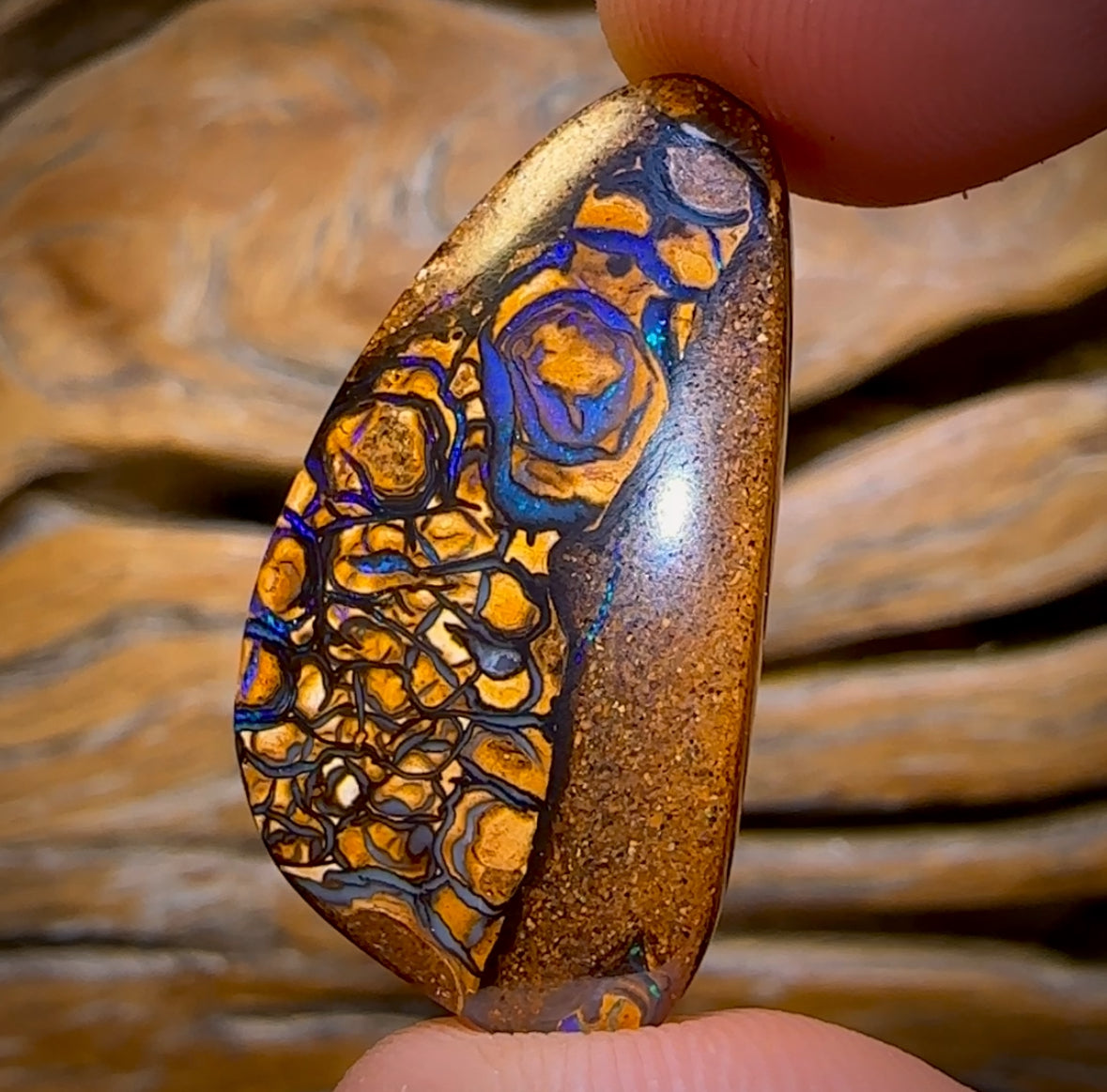 🔨 AUCTION 🔨 28.6cts - Tan Tribal Yowah Nut Opal. Australian Opal