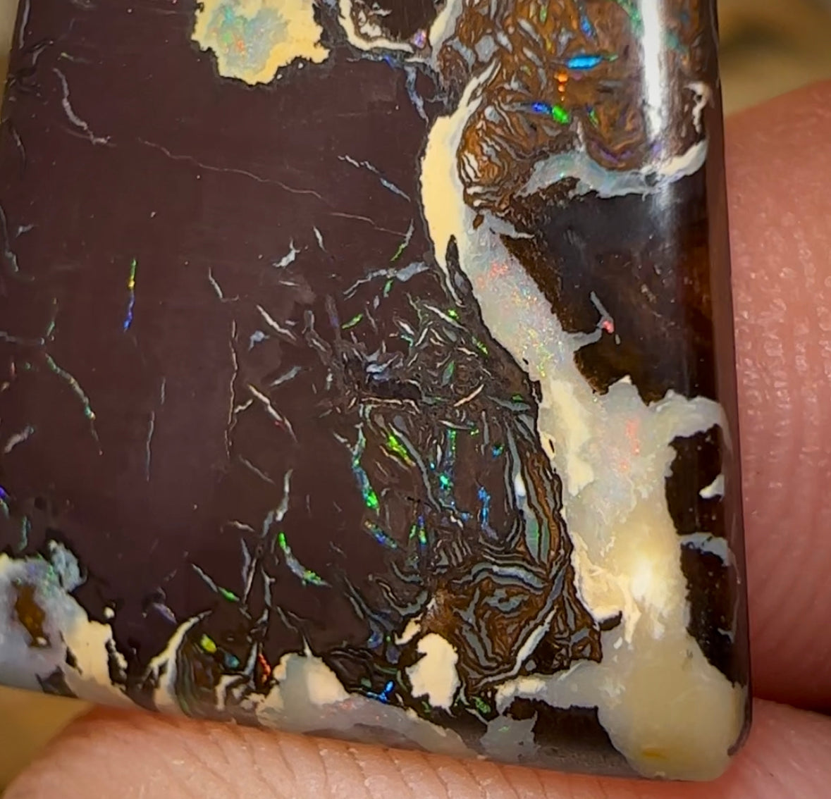 24.8cts - Queensland Boulder Opal from Koroit - Opal Whisperers