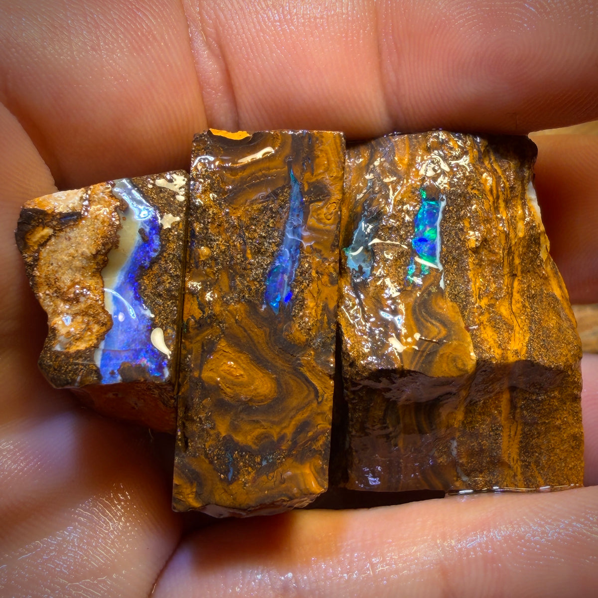 274cts - 3x Queensland Boulder Opal Rough Parcel from Duck Creek