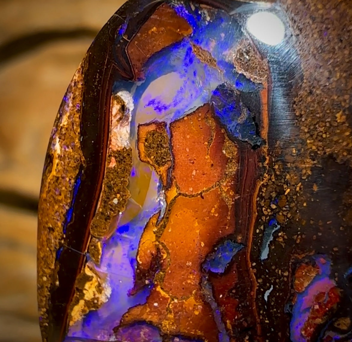 24.7cts - Yowah Nut Kernel Opal Purple