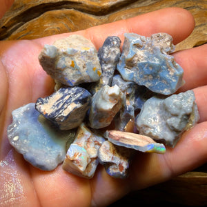 276.1cts - 12x Lightning Ridge Opal Rough Parcel