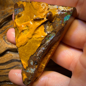 277.4cts - Yowah Nut Opal Rough Piece