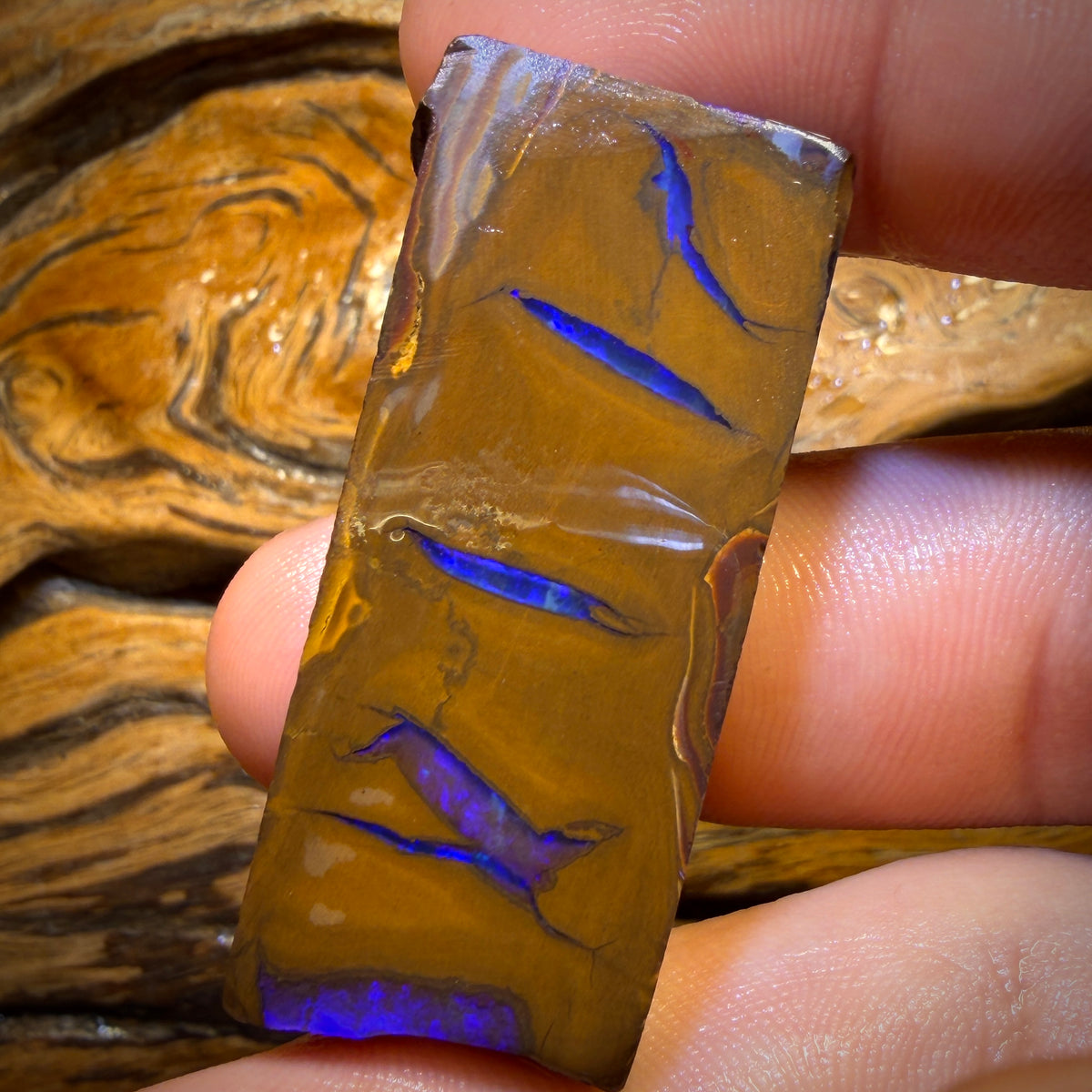 124.7cts - Queensland Boulder Opal Rough Preform from Duck Creek