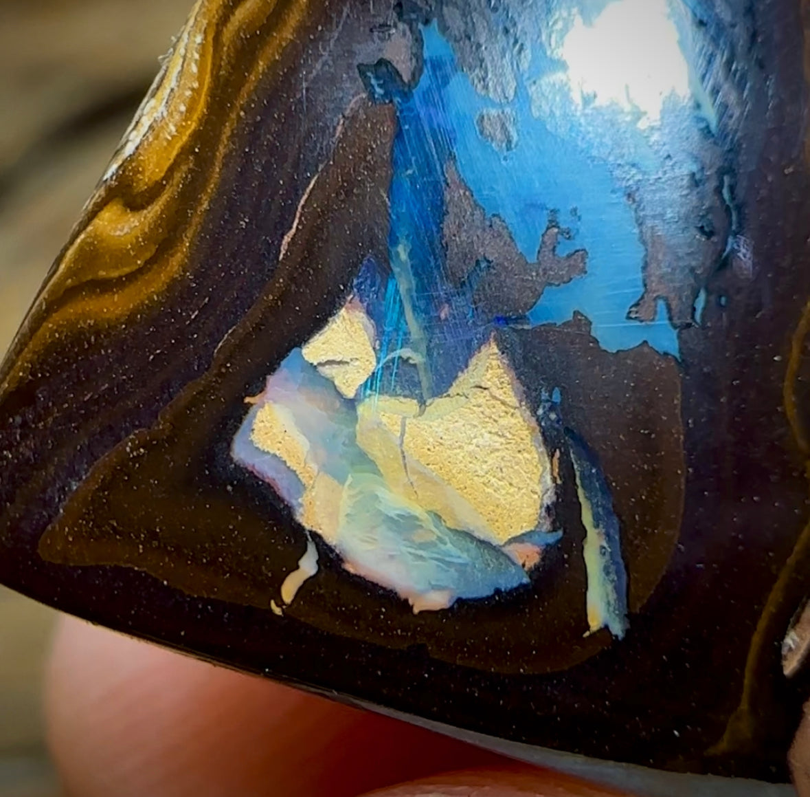 19.3cts - “Elvis” Picture Stone Polished Koroit Nut Opal Specimen with Kernel - Opal Whisperers