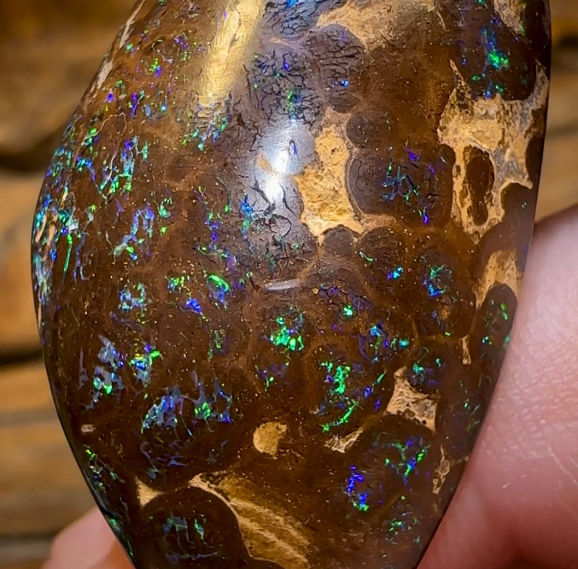 59.5cts - Double Sided Boulder Opal Specimen. Bubble Band - Opal Whisperers
