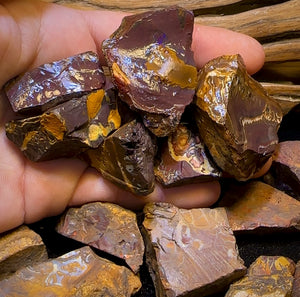 5x Queensland Boulder Opal Cutting Rough. Bulk Listing