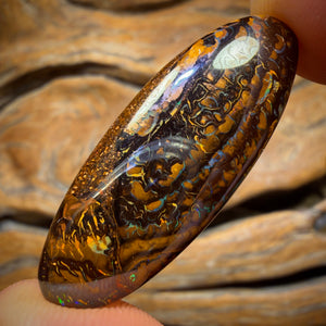 28.1cts - Tribal Queensland Boulder Opal. Australian Opal