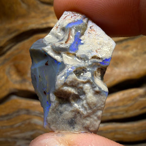 28.7cts - Lightning Ridge Dark Opal Rough Piece