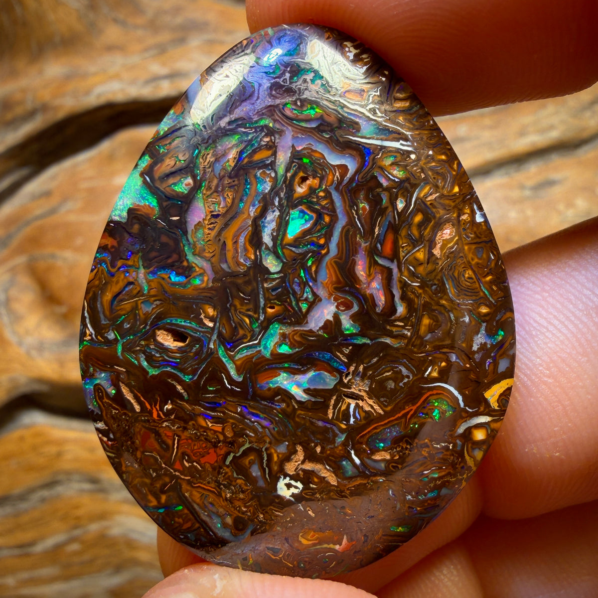Bargain Banger Card of the Night! 79.8cts - “Art of Opal” Top Tribal Queensland Boulder Opal from Yowah. Electric Colour AND Double Sided!