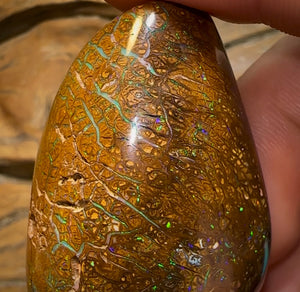 227.3cts - Polished Koroit Nut Specimen - Opal Whisperers