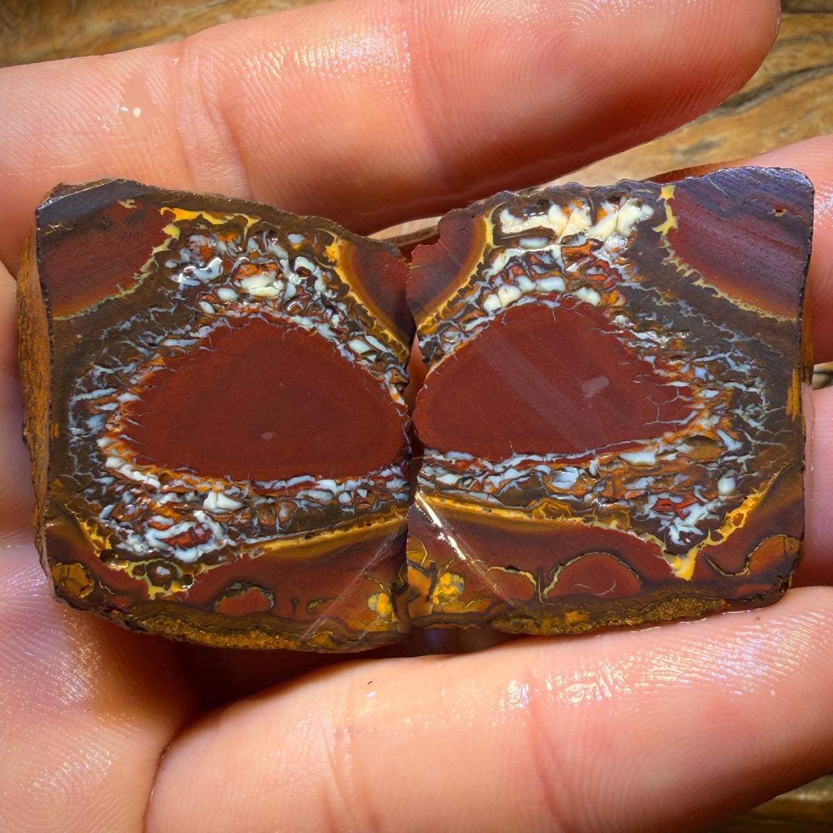 284.8cts - Yowah Nut Tribal Opal Rough Specimen Pair