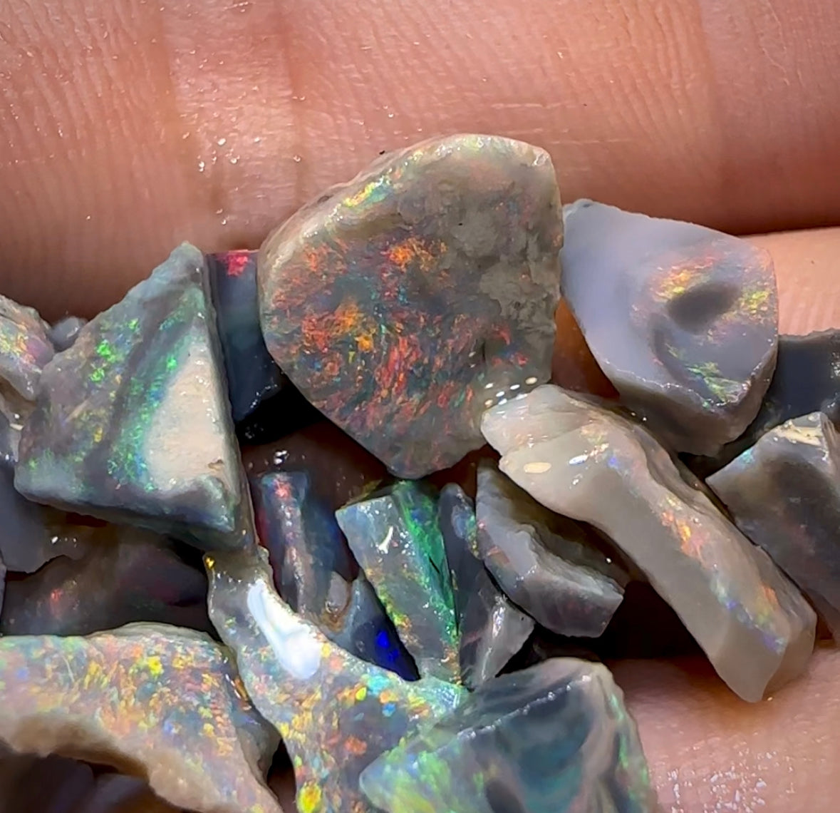 30.7cts - Wow 23x Lightning Ridge Dark and Black Opal Rough Parcel Fire Red Multicolour - Opal Whisperers