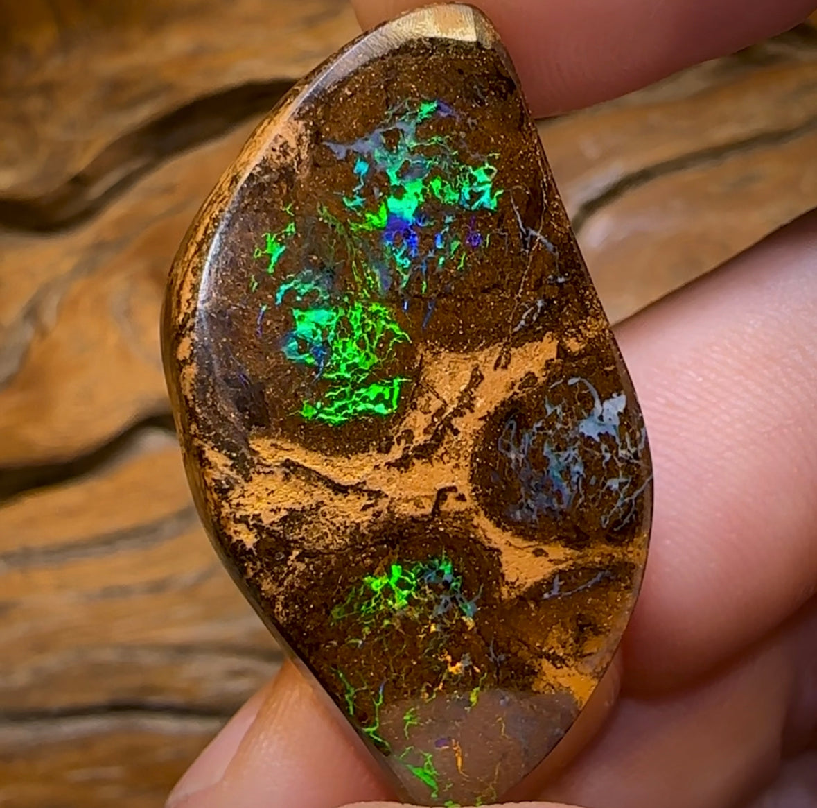 61.3cts - Electric Bubble Band Opal from Winton - Opal Whisperers