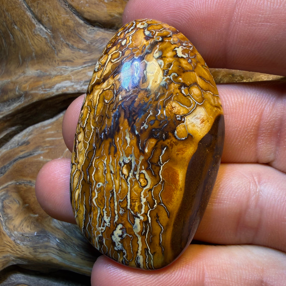OpalFest BargainCard! 131.1cts - Art of Opal Style Tribal Queensland Boulder Opal. Australian Opal