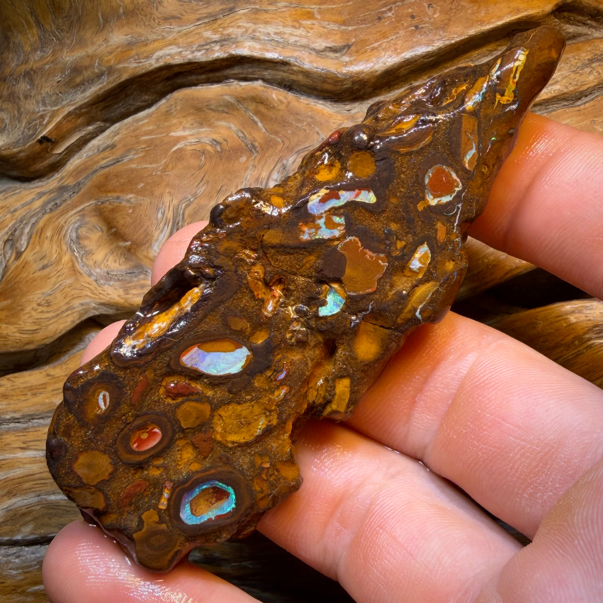 285.9cts - Yowah Nut Conglomerate Rough Piece. Australian Boulder Opal